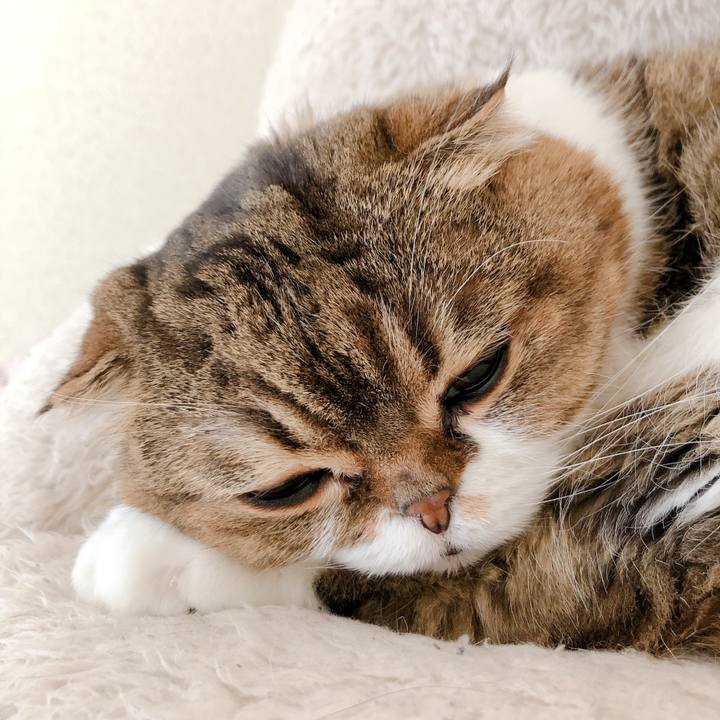 F5d97bff a5a1 40a4 b7eb 3d55c50478fc 1576464773768