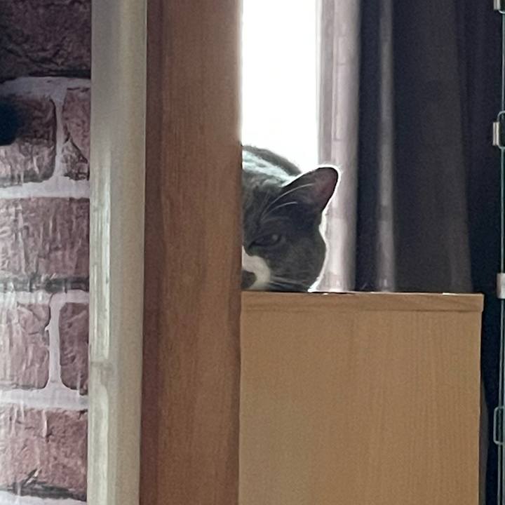 F5d9ad54 c78e 497a a4f4 f27c4d7b74dd 1661034645120