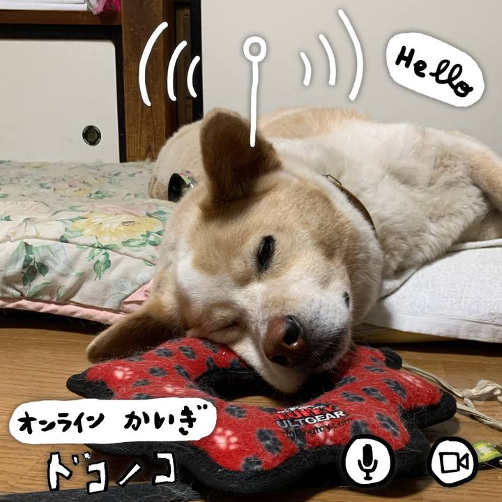 F5d9b692 72d8 47fa b853 7137d647d753 1590679492087