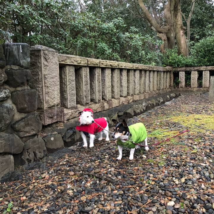 F5d9c02a 2015 411a bf77 2b43c9d804f1 1546993128479