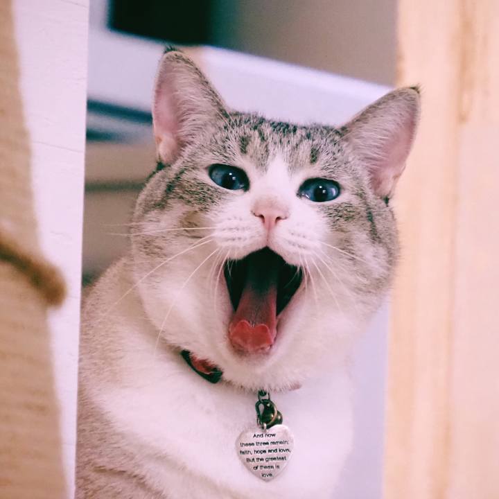 F5d9fb83 2015 43f9 812c 26b0bb17a888 1596256934877