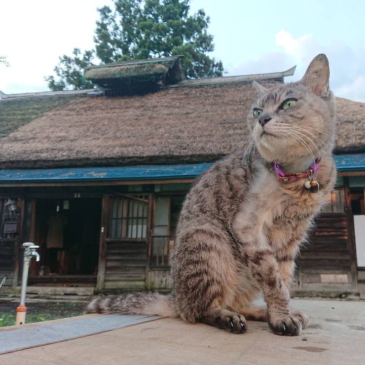 F5da3a14 d6e8 4dc7 ac03 923054de273b 1596188718593