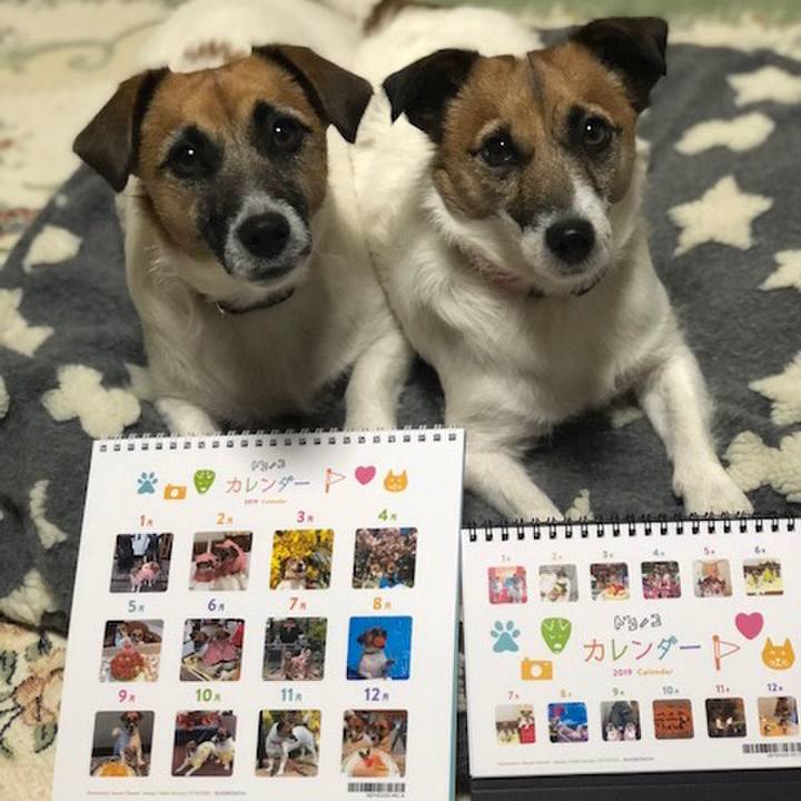 F5da4749 26a0 48c0 b9b3 d43df2a8f257 1546087742176