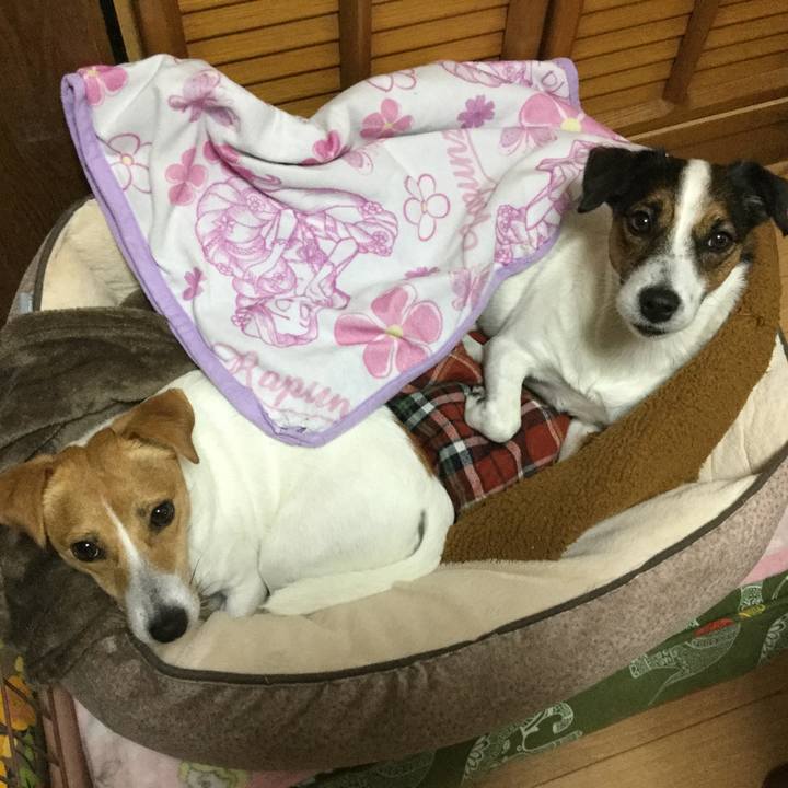 F5da6756 a12e 4083 a3ed 31f6b3aa8f78 1541021950523