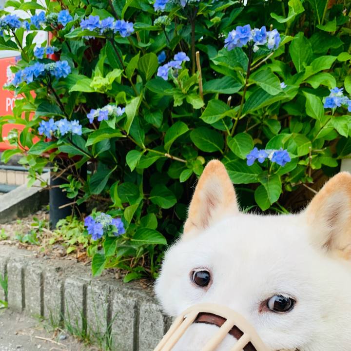 F5da8418 3aec 4733 8087 12c9a0599f12 1626898319143