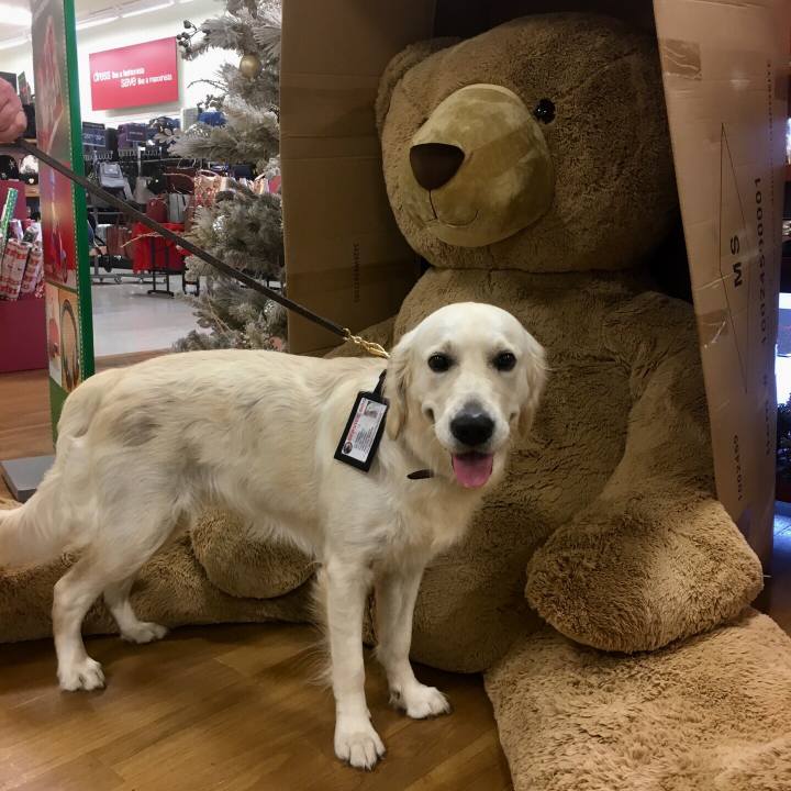 F5da8adf 36d4 4fe4 bc3f 92d391a46bf3 1515048141322