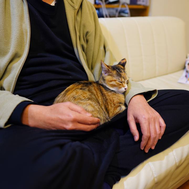 F5daa362 b925 4088 b2d6 a9b8442205dd 1575121698166