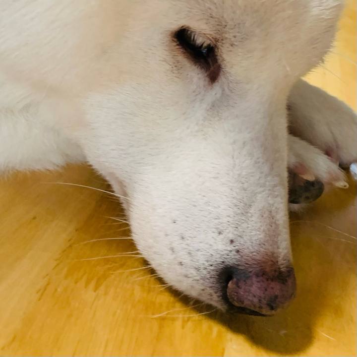 F5dac5a1 cb6c 4f2d 9a41 f455b928578a 1670632211106