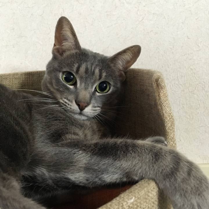 F5dad0e4 4d48 413f 9258 c553f2508c7d 1552600138231