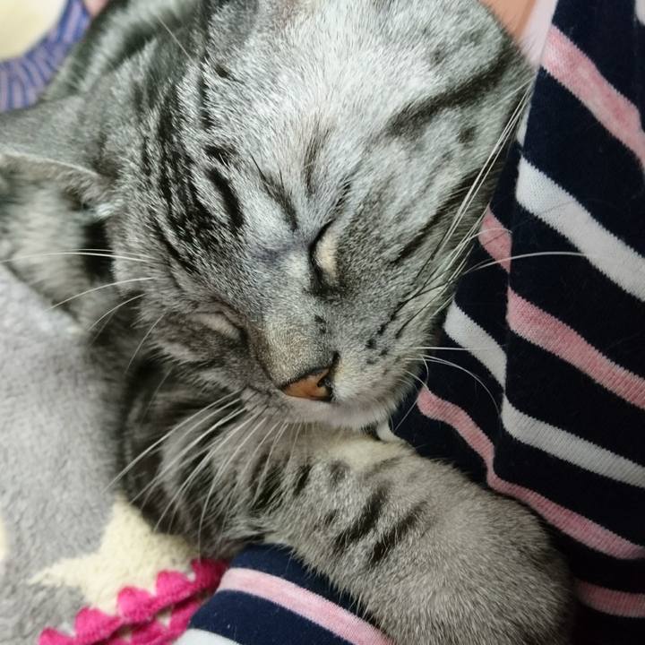 F5dad547 cabc 45c6 ae27 6942aea2219a 1512804188551