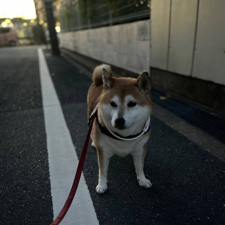 F5daf7bf 5be9 4963 be53 57ab76482cbf 1701246088823