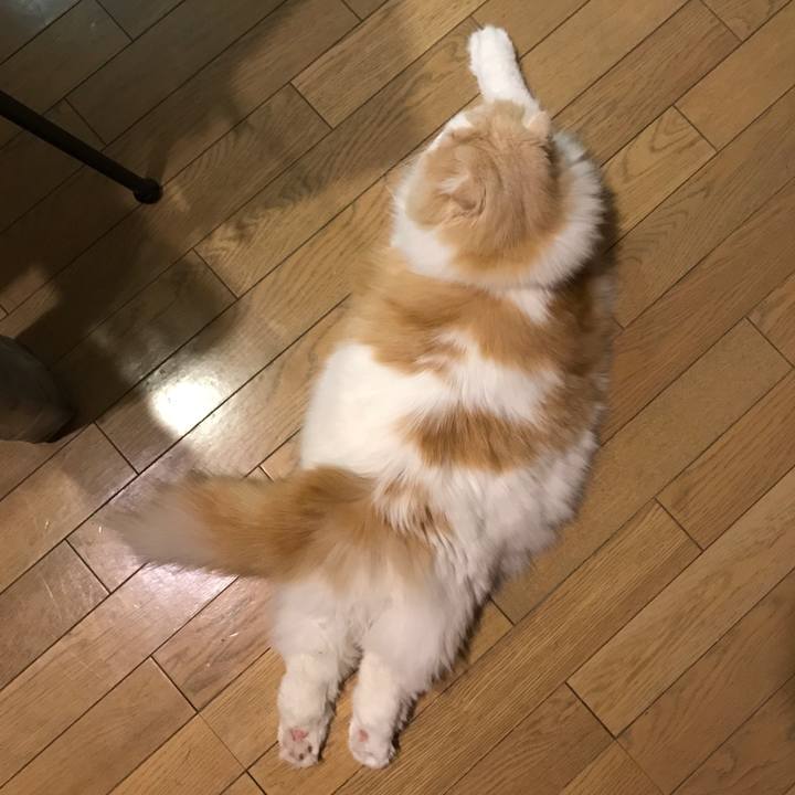 F5db1a7f 5092 464f a350 4144c9a2beae 1526856151306