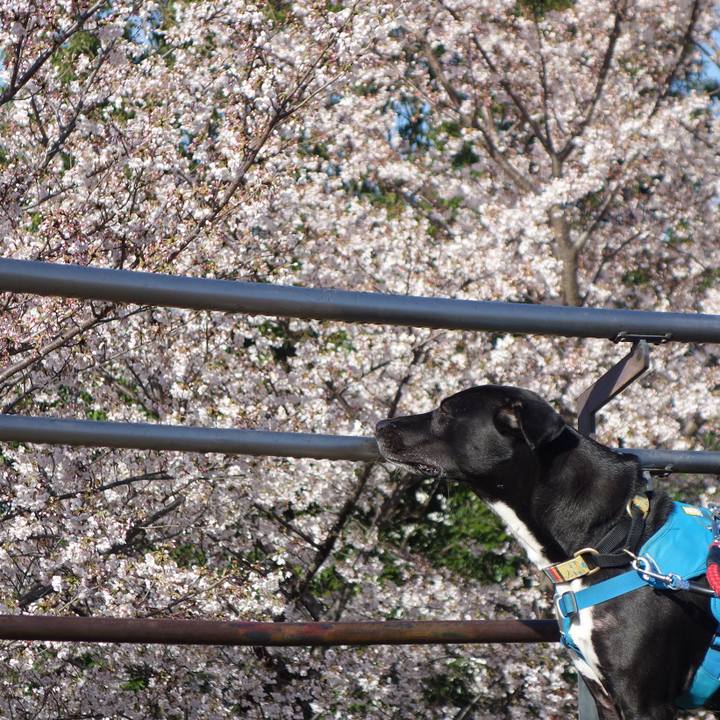 F5db253d 68f4 4a83 b4d9 8dbc4dd2f970 1616979649252