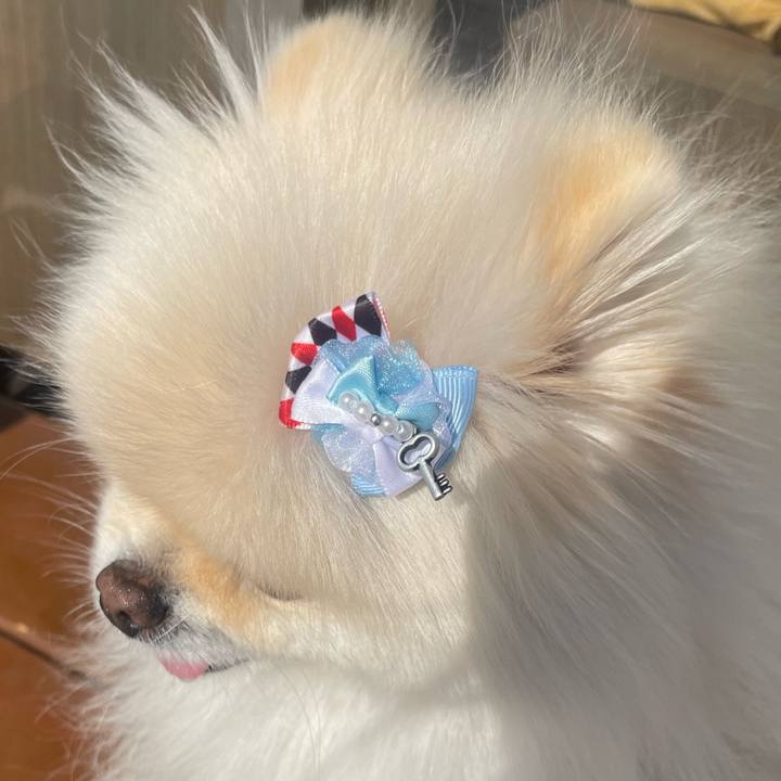 F5db52a4 8173 45da b356 d266fd48ce28 1709514610047