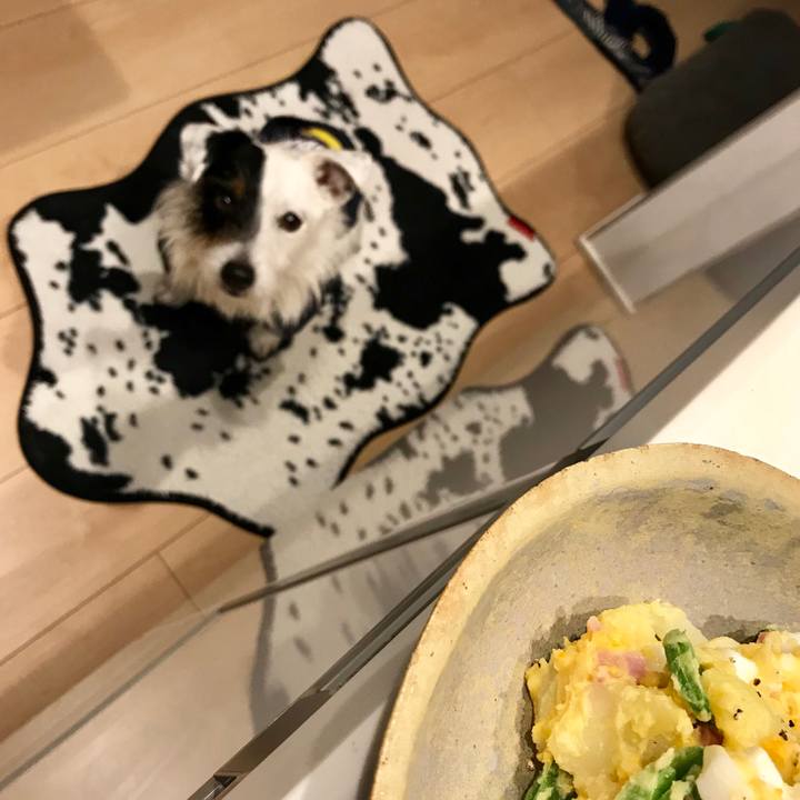 F5db6135 6da7 4761 8e4d 3e4508ba3ea2 1523266476710