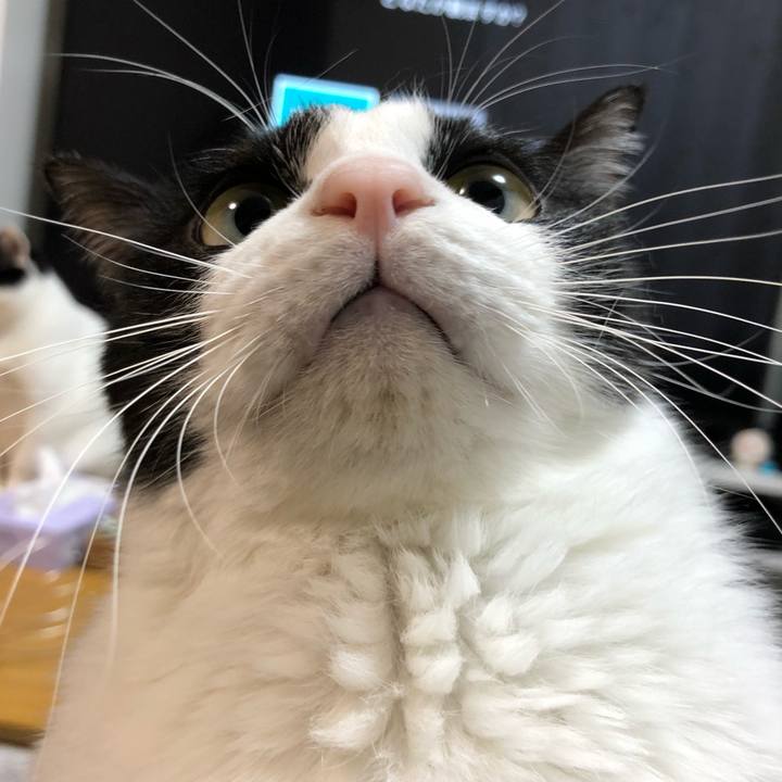 F5db7016 e5d1 46ba a2e7 0dc8d2c11cad 1518662770393