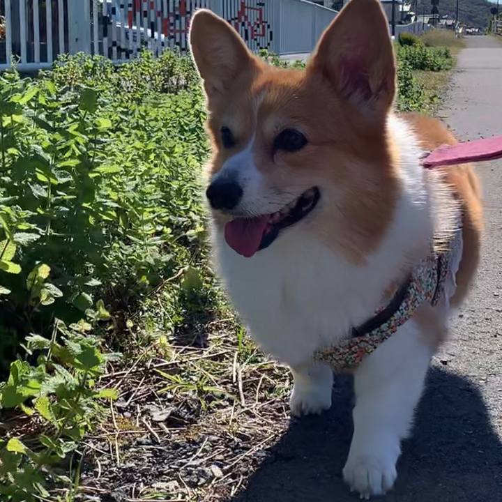 F5db753c dae4 4a9d bd90 02bc05695218 1668567336171