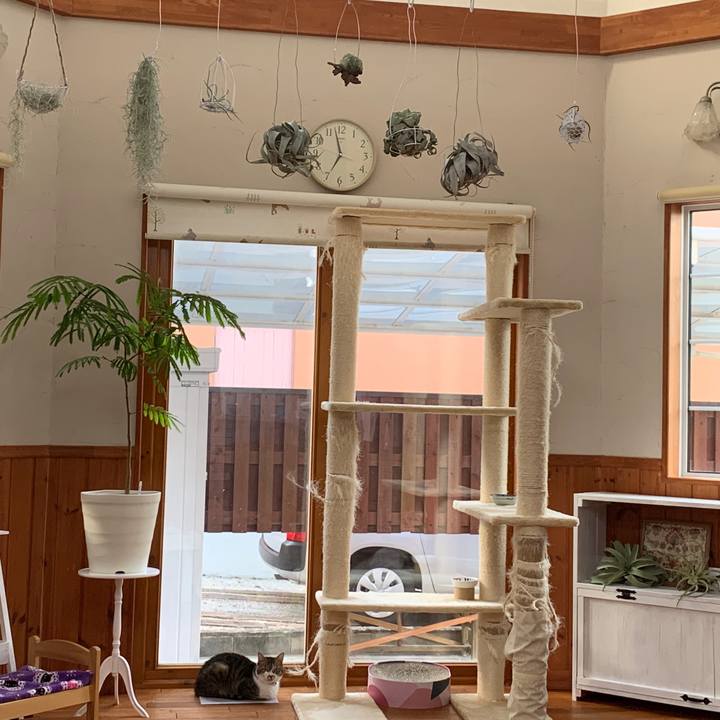 F5db87a8 28e1 4a25 a775 369f6874f113 1657144695719