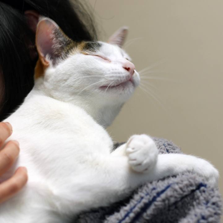 F5db8f77 9dc6 47de 8c17 f5e9ea7bcc5b 1600596940300