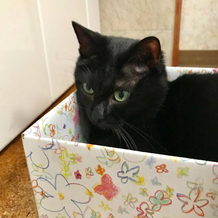 F5db97e7 c745 4d51 baa4 30c23634abd2 1538896318494