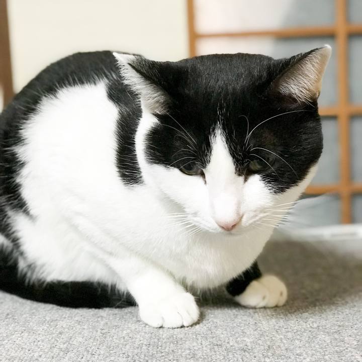 F5dbe3fb 26f1 4209 b3ee dce9f634eba3 1512312101054