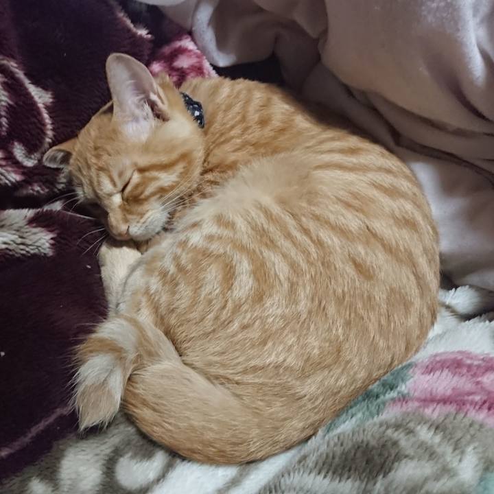 F5dc09fa c845 473f bc09 e0d0662081a5 1635425516836