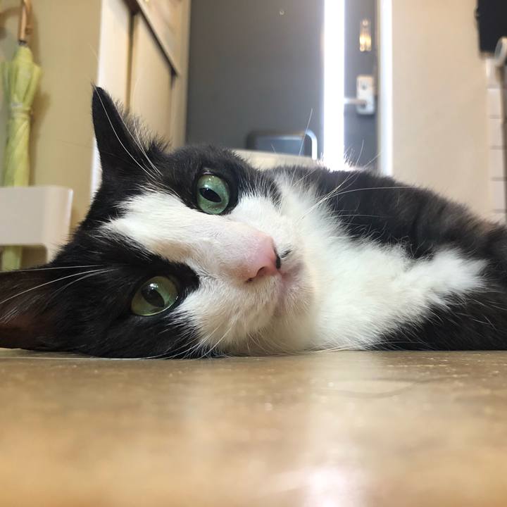 F5dc1dc9 3d4a 4cfb 8e24 c689bc39f5af 1534152621093