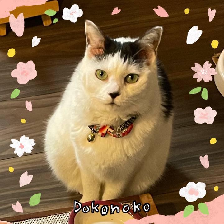 F5dc2aa0 3028 49a4 b5bb 90d366053b5e 1711274472854