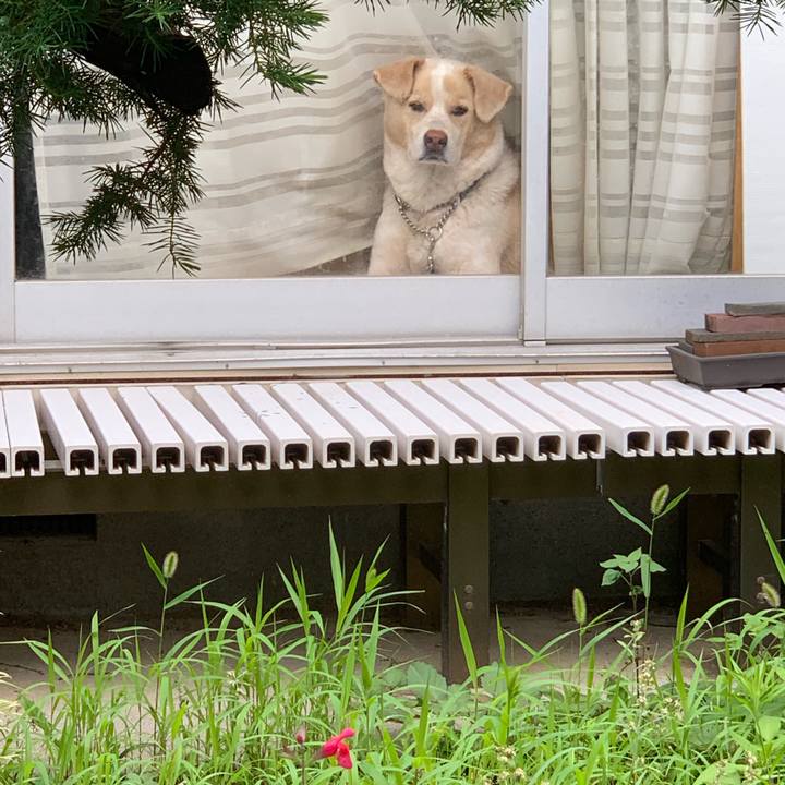 F5dc36dc 718b 4970 90af 8f53a42f9489 1562565560262