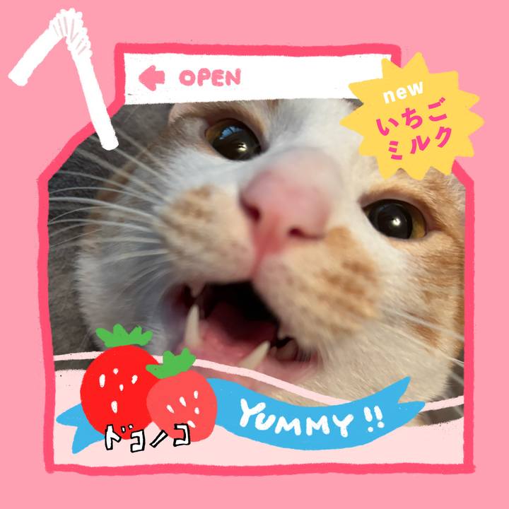 F5dc59ba 8b6a 4dad 95a9 2b4eeb82fcb4 1711163730459