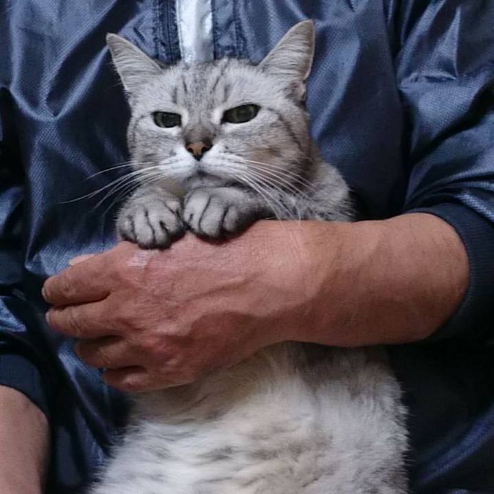 F5dc62f5 ac6a 424d 92d0 6cf29cb1c88d 1508562585926