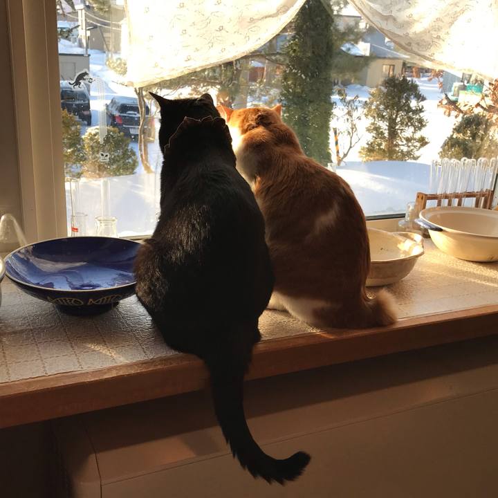 F5dc883d 4617 4f8b 8dd4 42344501521a 1615413655850