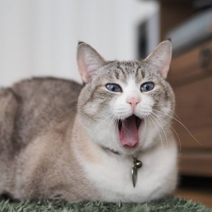 F5dc95fe d43f 496e 98e2 004a5a54f845 1641292430697