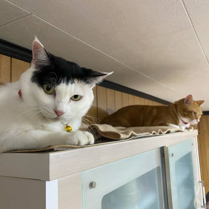 F5dcdcb9 7c65 4b19 b8f9 d7353274c479 1760195998955