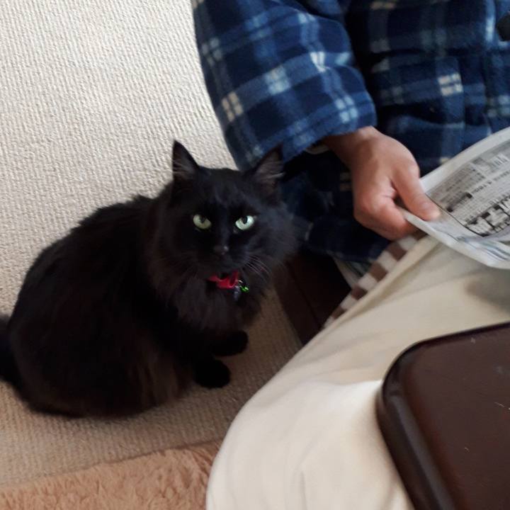 F5dd44d2 915e 45d1 8ed7 bb79b35318df 1519257317476