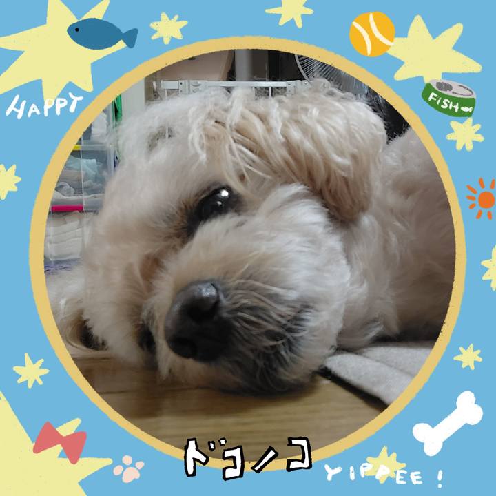 F5dd7444 f1d1 4476 a40c dfc4ef11fd8c 1721175226986