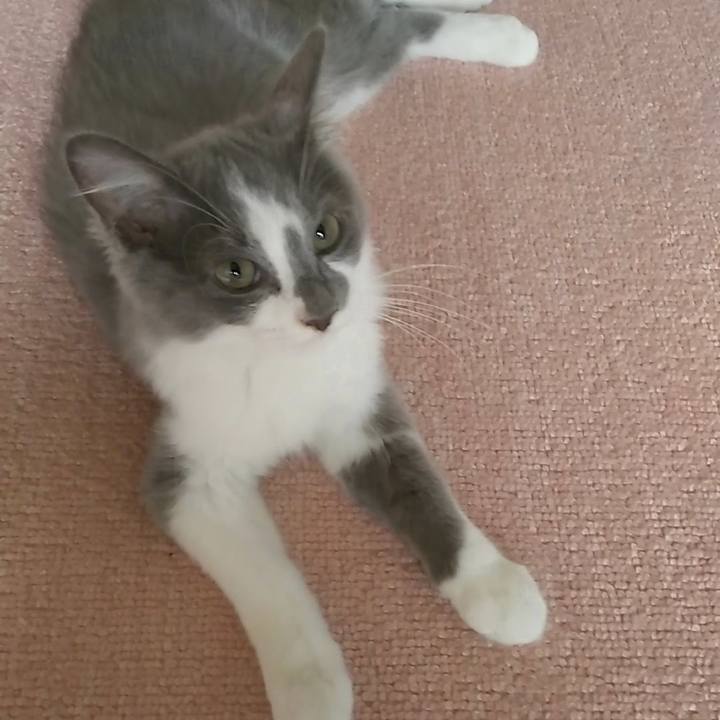 F5dda487 8ed7 4b7c a1ed 3e8db8433d29 1565822377112