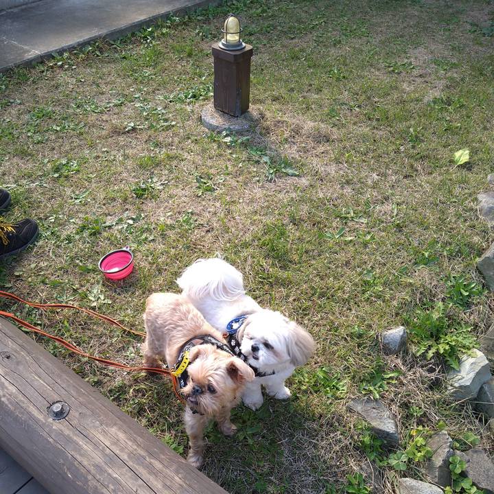 F5ddc038 e2a0 4064 ba84 e188a89233fc 1635923757666