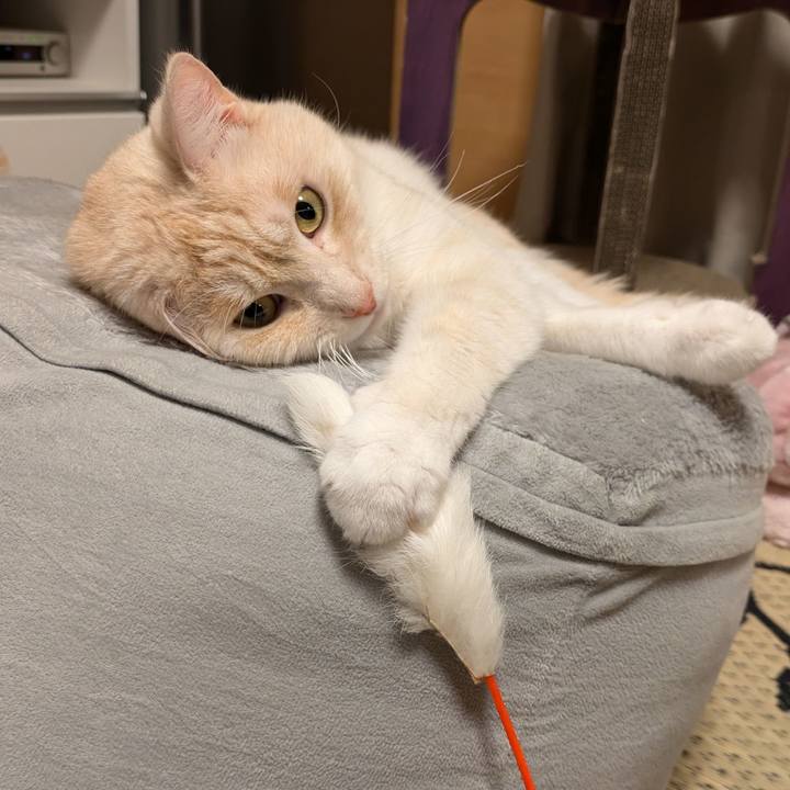 F5ddd89c 0b44 481e 91c7 295fa52a7d6e 1720710300014