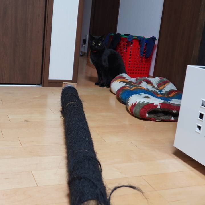 F5dddde0 87e3 4422 bdad de01f2178a1d 1608992580030