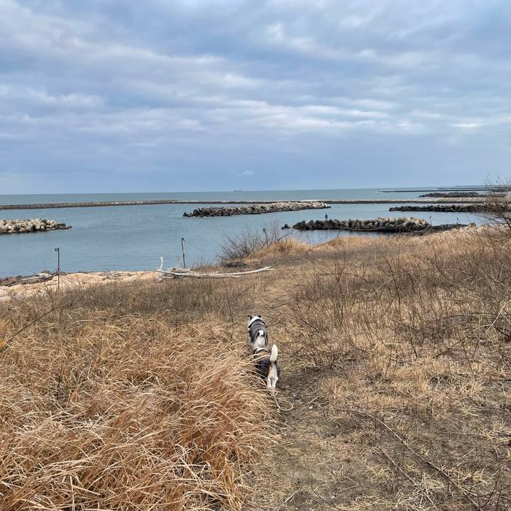 F5ddf41c 9efc 44ca 8d3f 980d78308e9e 1740437915778