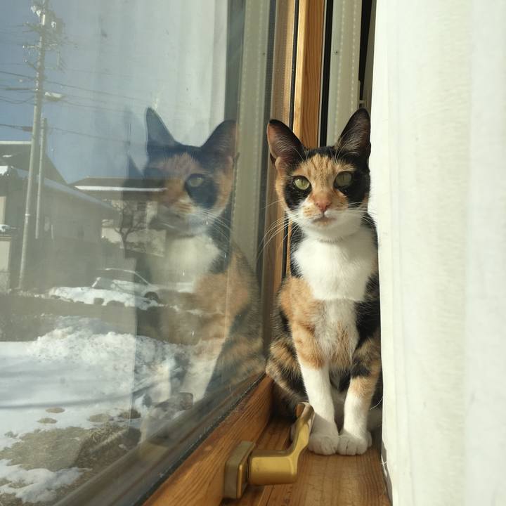 F5de0056 3260 4022 ab38 c67776b58cef 1519342812205