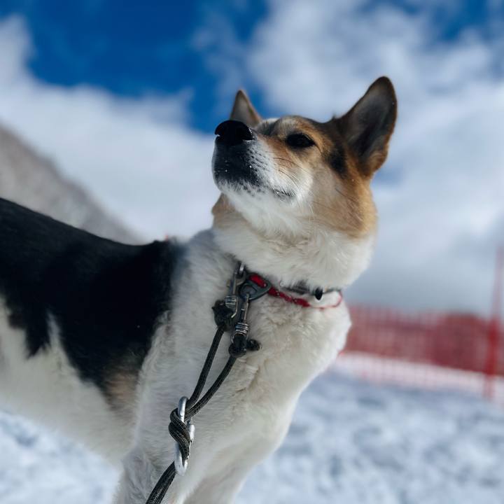 F5de2796 c91f 4947 ada4 8959fecad654 1772595738450