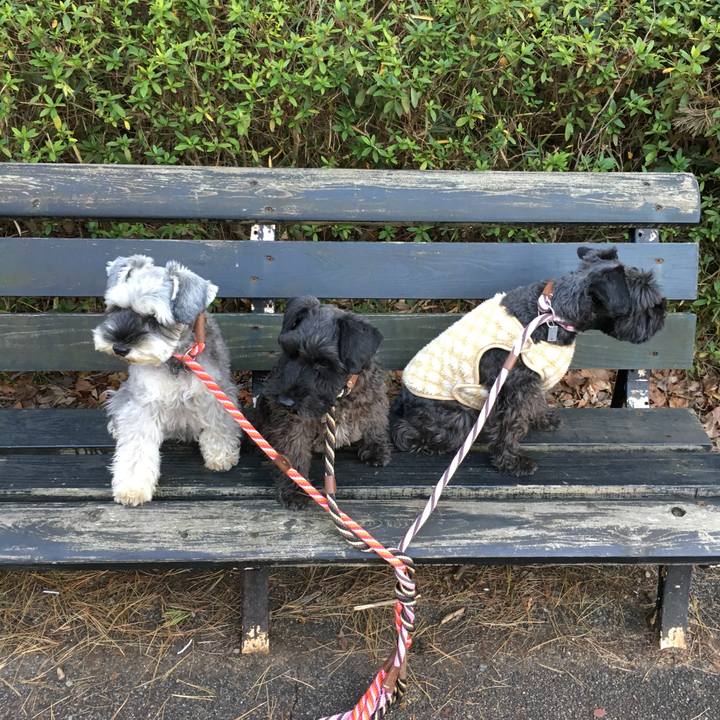 F5de322c 43e0 4e0a 9278 3e7485460959 1511083292430