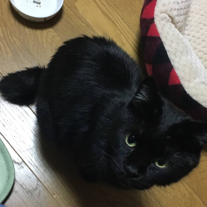 F5de8648 f3f9 457c be89 cef1215c95d5 1542715400729