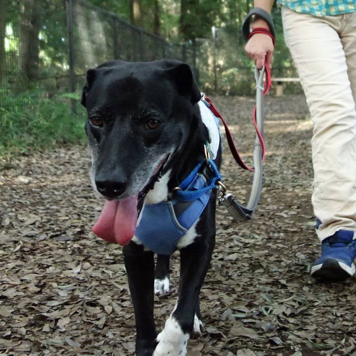 F5dec866 c722 4b55 9f63 0fdf3253e045 1722125762047