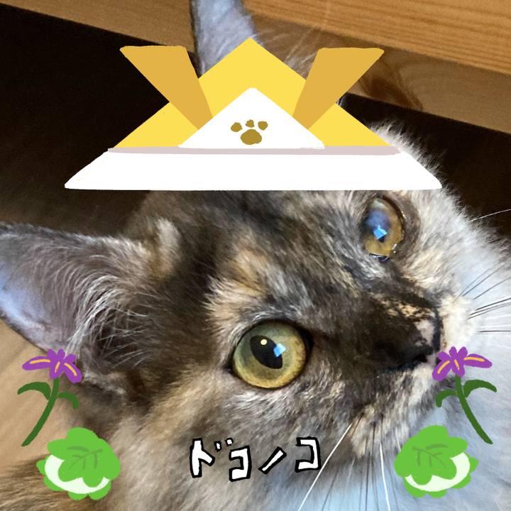 F5defed8 254d 480b 8ea0 a01c1b7e8478 1714882525286