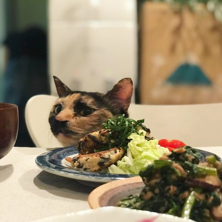 F5df1825 5572 44fa 9afe 43753e240c99 1507803283005