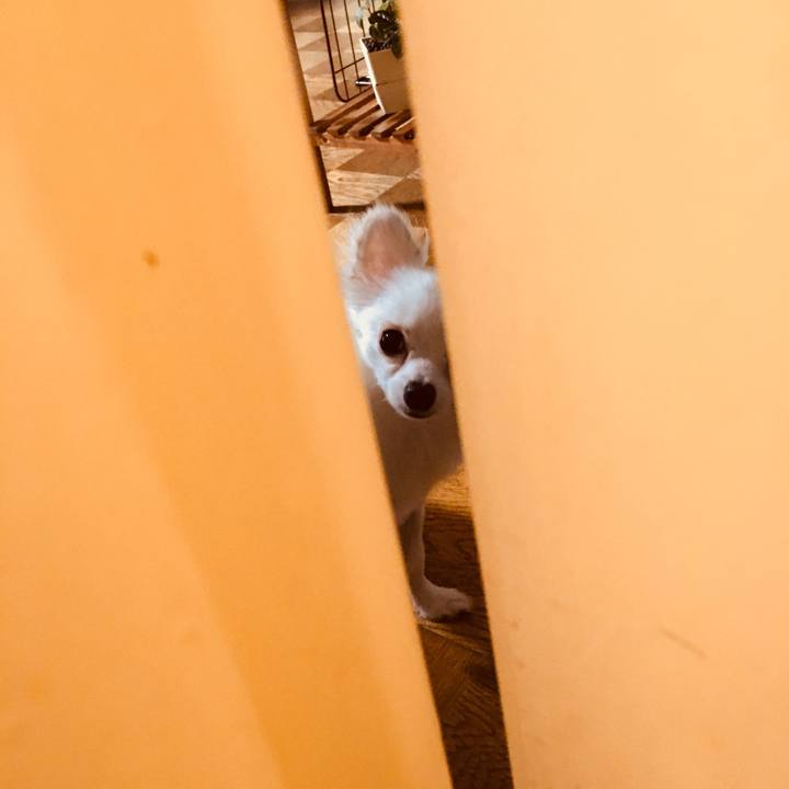 F5df26c1 9f83 440d a12c 9b92d366397f 1513505009014