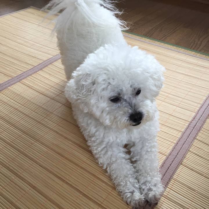 F5df479e f9cf 49a8 b217 d7e7c88d608b 1528844898839